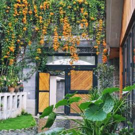 Z.Garden, hotel Taliban