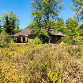 Landhaus mitten in der Lüneburger Heide, hotel in Undeloh