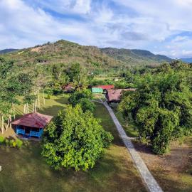 4 Pohon - Les 4 Arbres, Hotel in Pandang