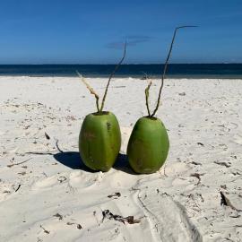 Mombasa Bamburi Beach Studio B11 - Pool & Beach - Sleeps 3