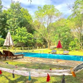 Birds Paradise Inn