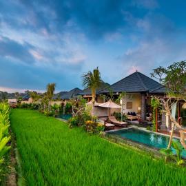 Bliss Ubud Spa Resort, ξενοδοχείο στο Ουμπούντ