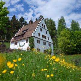 Herrenhaus Bärenschlössle 2 mit 6 Schlafzimmer, hotel in Freudenstadt