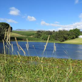 Navarre Farm Cottages