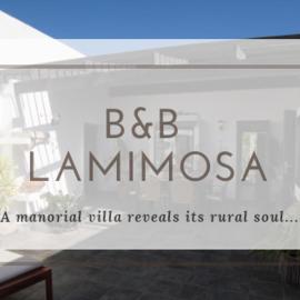B&B La Mimosa, hotel a Teguise