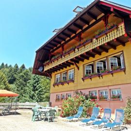Ferienwohnung mit Talblick in Todtmoos, hotel di Todtmoos
