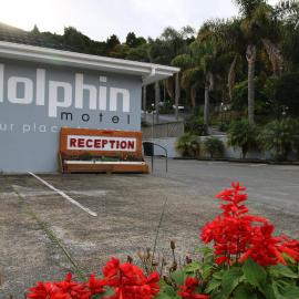 Dolphin Motel, hotel di Paihia