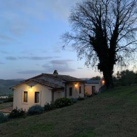 Il Nido del Falco nelle Antiche Mura