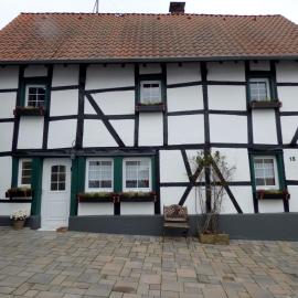 Relaxen am Rosenbusch