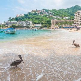 Mismaloya casa maleni planta baja