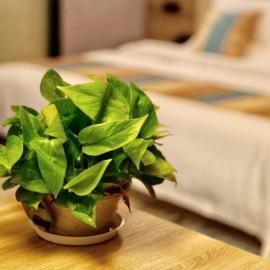 VX Changzhou Jintan District Red Star Macalline Hotel, hotel v destinaci Čchang-čou