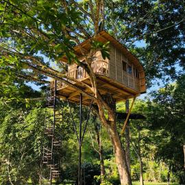 Casa del Árbol Colombia, hotel a Tobia