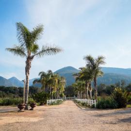 Mountain Breeze Log Cabins, hotel din Stormsrivier