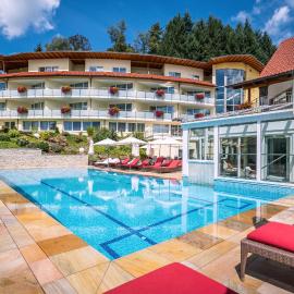 Naturparkhotel Adler, hotel Wolfachban