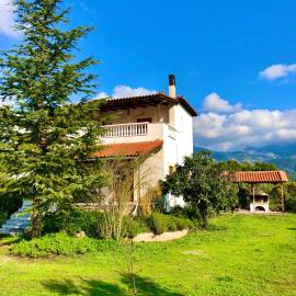 Villa Vasiliki, hotel a Palioúras
