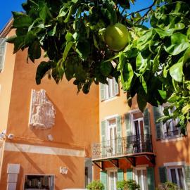 Hôtel restaurant Oasis, готель у Ніцці