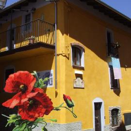 B&B Il Campo dei Papaveri