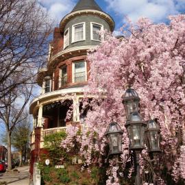 Wilson House Bed & Breakfast, hotel in Baltimore