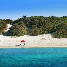 Camping Torre Castiglione, hotel a Torre Lapillo
