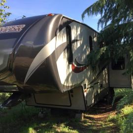 Sequoia Forest Retreat، فندق في Badger