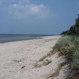 Am Pool und Strand 11