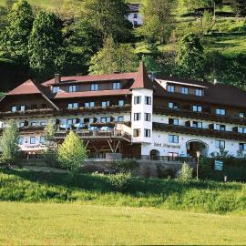 Hotel Restaurant Stigenwirth: Krakauebene şehrinde bir otel