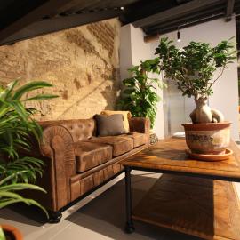 VTZ The Botanic Hostel, hotel din Zaragoza