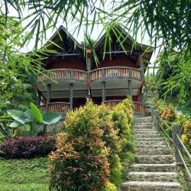 Hotel Orangutan, Hotel in Bukit Lawang