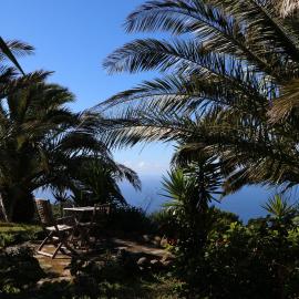 El Cortijo