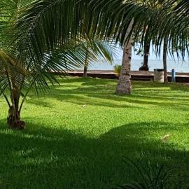 Hotel Wailiti, hotel v destinaci Maumere