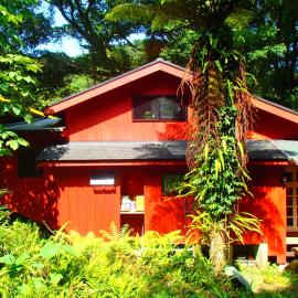 屋久島コテージ対流山荘