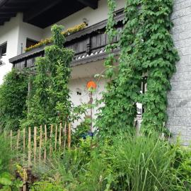 Ferienwohnung Gegenfurtner, hotel in Böbrach