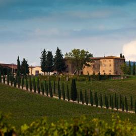 Agriturismo Casale Dello Sparviero, Hotel in Castellina in Chianti