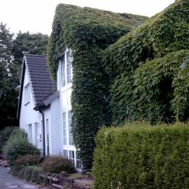 Ferienwohnung Antje und Jule