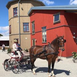 Flyingehus Gårdshotell, отель в городе Flyinge
