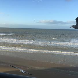 Entre dunes et mer, hotel in Bray-Dunes