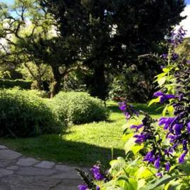 Habitación en casa con gran jardín