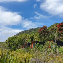 Punakaiki Beach Camp, hotel in Punakaiki