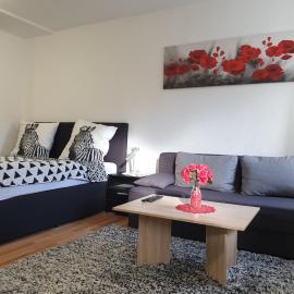 DM Apartment, hotel u gradu Triberg