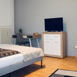 Hortenzia Apartman Pécs, hotell i Pécs
