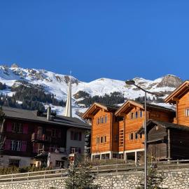 Hotelski