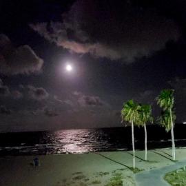 Spectacular Beach View!, hotel in Corpus Christi