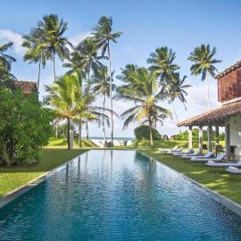 The Frangipani Tree by Edwards Collection - Thalpe