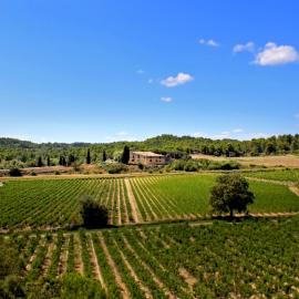 Domaine de Palats, hotell sihtkohas Laure-Minervois