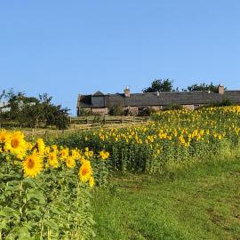 Garden Bank Cottage