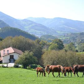 CASA RURAL Arriaran, hotel sa Leitza