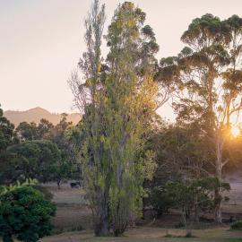 Karribank, hotel in Porongurup