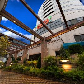 Hotel Alps