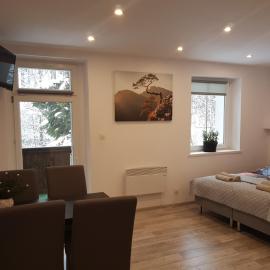 Apartamenty u Sikory: Miedzygorze şehrinde bir otel