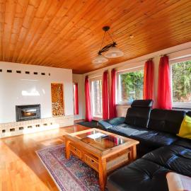 Ferienhaus am Feldberg